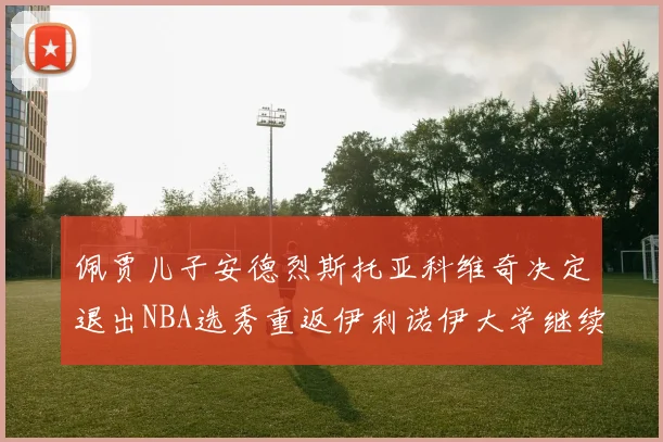 佩贾儿子安德烈斯托亚科维奇决定退出NBA选秀重返伊利诺伊大学继续学业