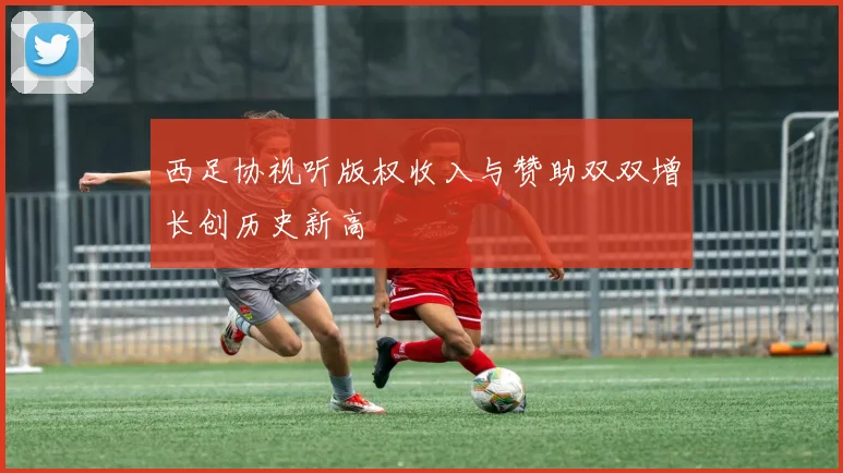 西足协视听版权收入与赞助双双增长创历史新高